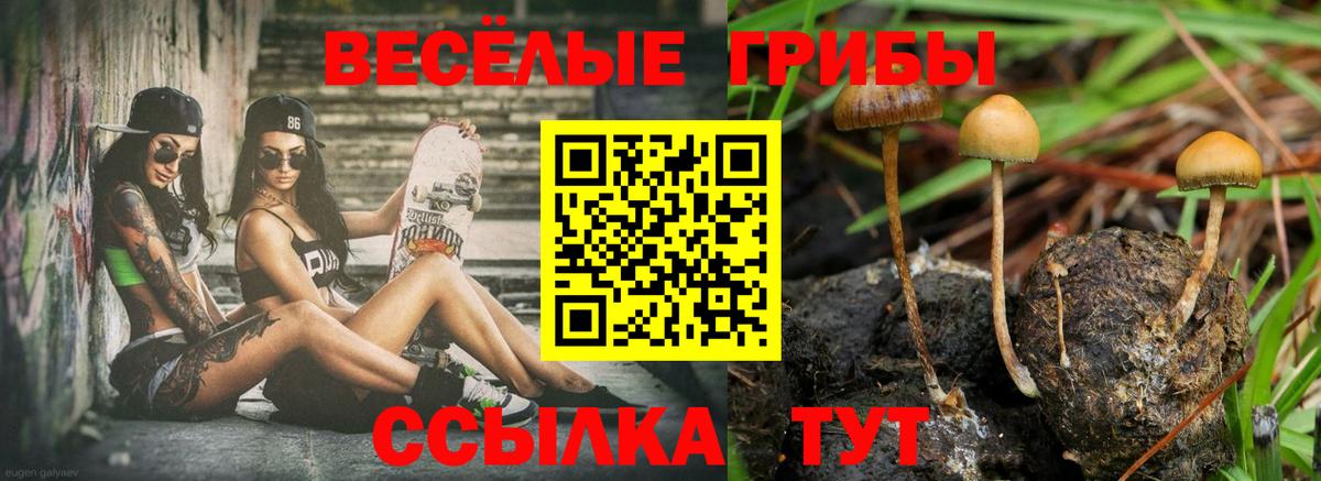 Галлюциногенные грибы прущие грибы  Галлюциногенные грибы Cubensis  Новочебоксарск  Вход с VPN 