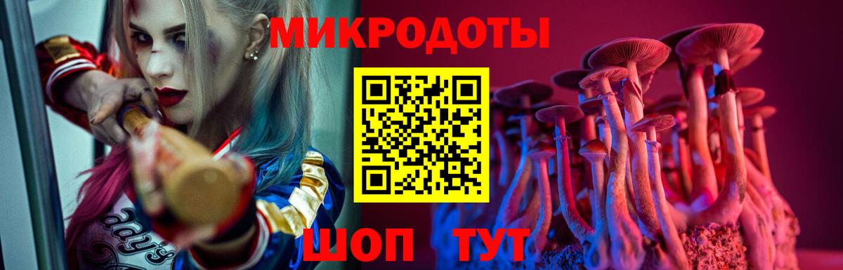 Галлюциногенные грибы Cubensis Новочебоксарск
